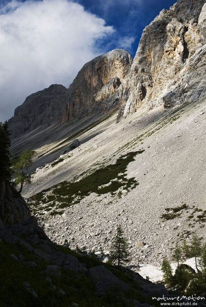 Gebirgstal mit Blick auf Bergkette, Lärchen, Tal der sieben Seen, Triglav-Nationalpark, Slowenien