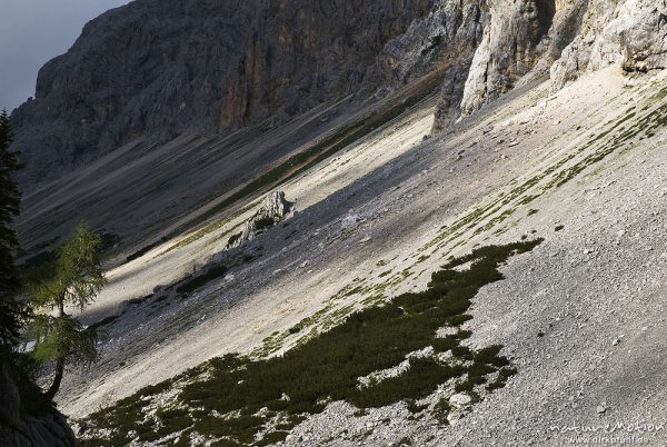 Gebirgstal mit Blick auf Bergkette, Lärchen, Tal der sieben Seen, Triglav-Nationalpark, Slowenien