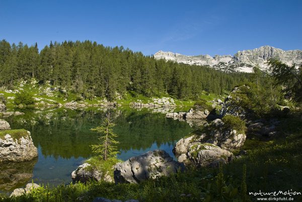 Dvojno jezero (Doppelsee), Morgenlicht, Tal der sieben Seen, Triglav-Nationalpark, Slowenien