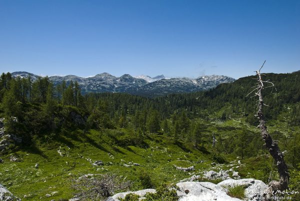 Gebirgsplateau mit Blick auf Bergkette, Alm Planina Ovcarija, Triglav-Nationalpark, Slowenien