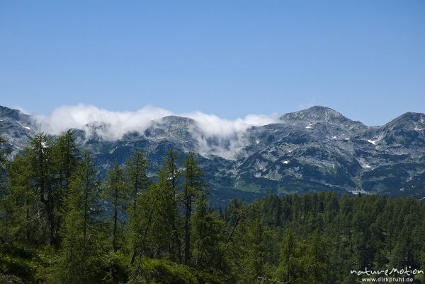 Bergkette und waldbedeckter Grat, Alm Planina Ovcarija, Triglav-Nationalpark, Slowenien