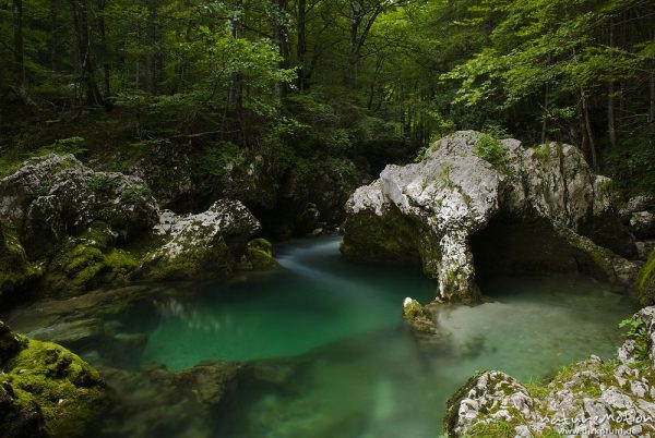 Bergbach mit bizarren Steinformationen, grünes Wasser, Tal der Mostnica, Triglav-Nationalpark, Slowenien