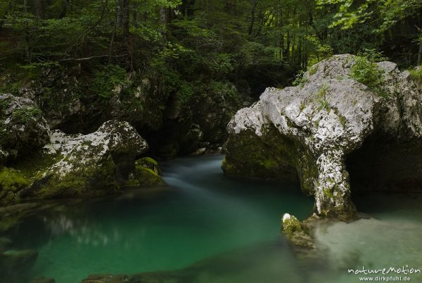 Bergbach mit bizarren Steinformationen, grünes Wasser, Tal der Mostnica, Triglav-Nationalpark, Slowenien