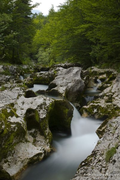 Gebirgsbach mit ausgewaschenen Felsformationen, Tal der Mostnica, Triglav-Nationalpark, Slowenien