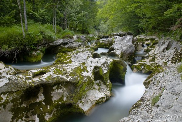 Gebirgsbach mit ausgewaschenen Felsformationen, Tal der Mostnica, Triglav-Nationalpark, Slowenien
