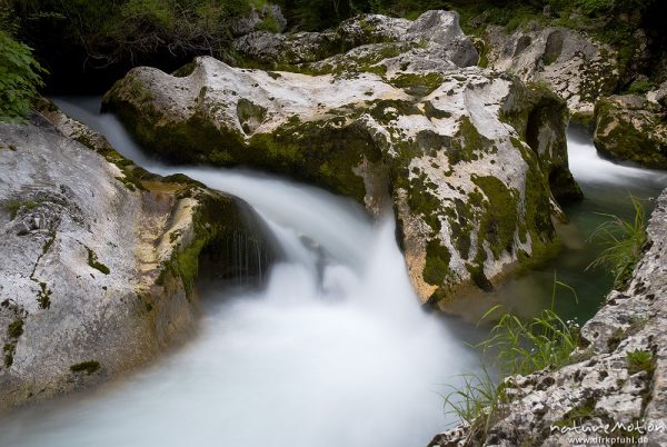 Gebirgsbach mit ausgewaschenen Felsformationen, Tal der Mostnica, Triglav-Nationalpark, Slowenien