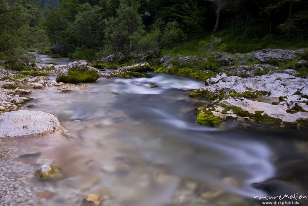 Gebirgsbach mit ausgewaschenen Felsformationen und moosbedeckten Steinen, Tal der Mostnica, Triglav-Nationalpark, Slowenien