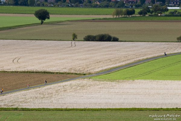 Muster aus abgeernteten Rapsfeldern und Feldern mit frisch gekeimtem Wintergetreide, Feldweg mit Wan, Göttingen, Deutschland