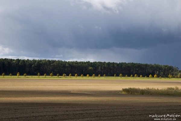 frisch gepflügte Felder, Regenwolken, Boek, Müritz-Nationalpark, Deutschland