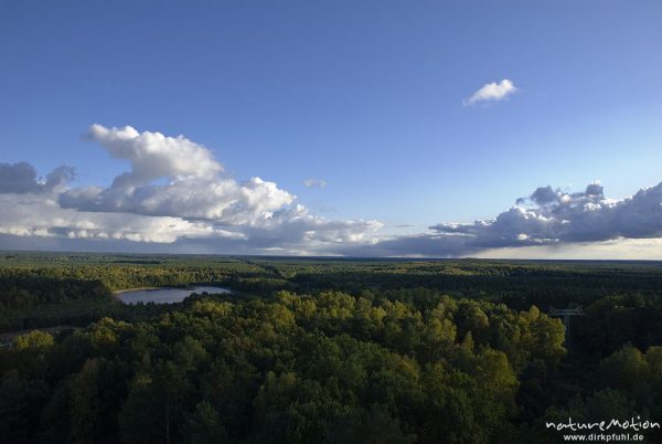 Seenlandschaft im Abendlicht, Seen inmitten von Wald, Himmel, Blick vom Aussichtsturm Käflingsberg Turm, Müritz-Nationalpark, Deutschland