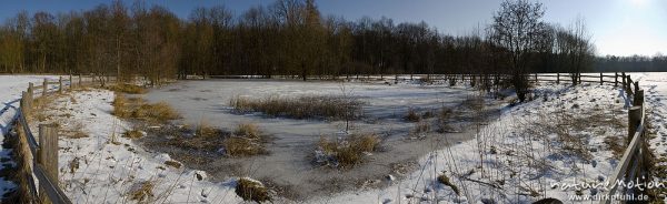Teich, zugefroren, Eisdecke, Ufervegetation und Zaun, Tripkenpfuhl, Herberhäuser Stieg, Göttingen, Deutschland