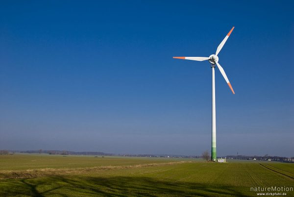 Windkraftanlage, Windrad, Enercon E-40, einzelne Anlage inmitten Getreidefeld, Morgenlicht, blauer Himmel, Preetz, Nordvorpommern, Deutschland