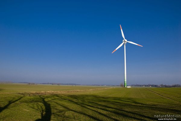 Windkraftanlage, Windrad, Enercon E-40, einzelne Anlage inmitten Getreidefeld, Morgenlicht, blauer Himmel, Preetz, Nordvorpommern, Deutschland