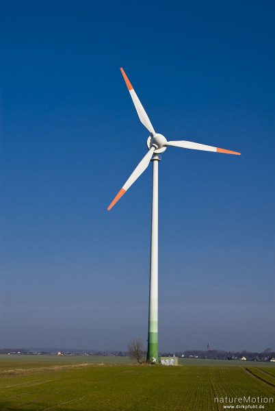 Windkraftanlage, Windrad, Enercon E-40, einzelne Anlage inmitten Getreidefeld, Morgenlicht, blauer Himmel, Preetz, Nordvorpommern, Deutschland
