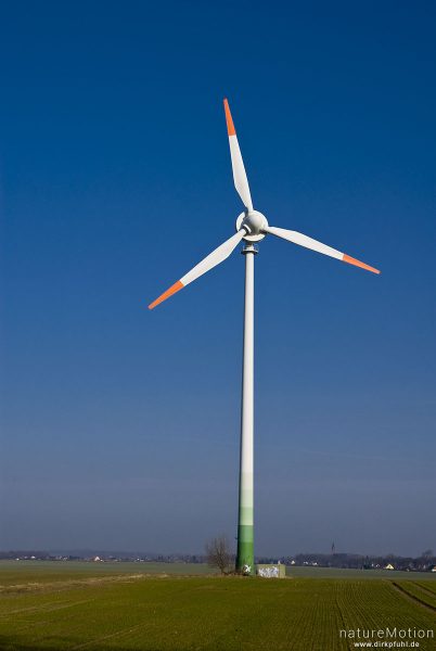 Windkraftanlage, Windrad, Enercon E-40, einzelne Anlage inmitten Getreidefeld, Morgenlicht, blauer Himmel, Preetz, Nordvorpommern, Deutschland