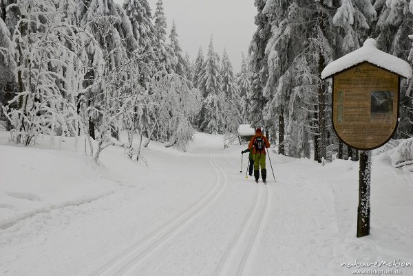 Ski-Langlauf Loipe, tief verschneiter Fichtenwald, Stieglitzecke, Harz, Deutschland