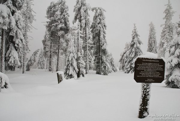 tief verschneiter Fichtenwald, vereiste Fichten, Schild Nationalpark, Stieglitzeck, Harz, Deutschland