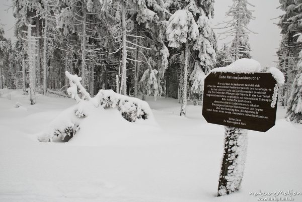 tief verschneiter Fichtenwald, vereiste Fichten, Schild Nationalpark, Stieglitzeck, Harz, Deutschland