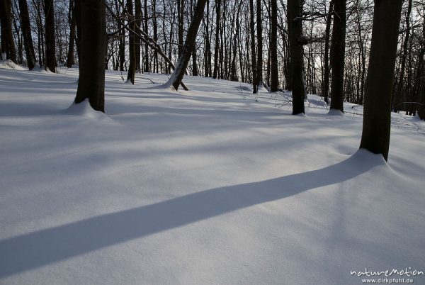 Schatten von Bäumen auf Schneedecke, Westerberg, Göttingen, Deutschland