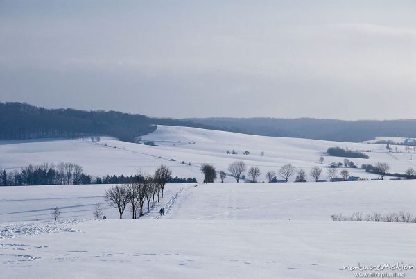 Winterlandschaft, Feldweg mit Spaziergängern, Diemarden bei Göttingen, Deutschland