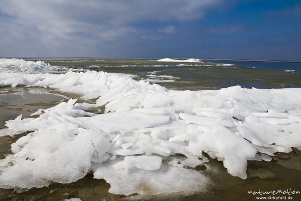 Eisschollen am Ufer des Barther Bodden, Wasser teilweise noch mit Eisflächen und Vereisung, Groß Mohrdorf, Deutschland