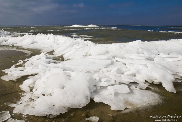 Eisschollen am Ufer des Barther Bodden, Wasser teilweise noch mit Eisflächen und Vereisung, Groß Mohrdorf, Deutschland