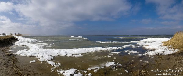 Eisschollen am Ufer des Barther Bodden, Wasser teilweise noch mit Eisflächen und Vereisung, Groß Mohrdorf, Deutschland