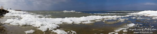 Eisschollen am Ufer des Barther Bodden, Wasser teilweise noch mit Eisflächen und Vereisung, Groß Mohrdorf, Deutschland