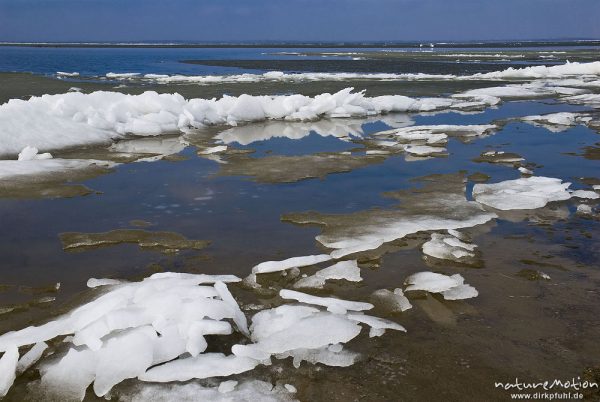 Eisschollen am Ufer des Barther Bodden, Wasser teilweise noch mit Eisflächen und Vereisung, Groß Mohrdorf, Deutschland