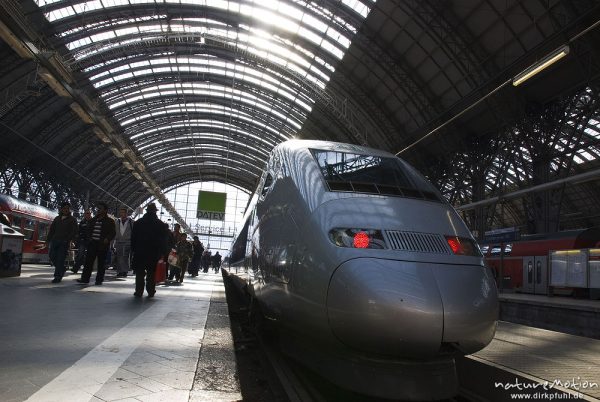 Triebkopf eines TGV im Hauptbahnhof Frankfurt, Frankfurt a.M., Deutschland