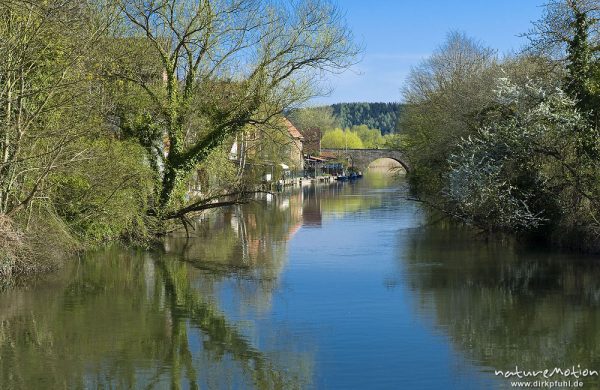 Flusslauf mit überhängenden Bäumen, steinerner Brücke und Häusern direkt am Ufer, Werra in Allendorf, Bad Sooden-Allendorf, Deutschland