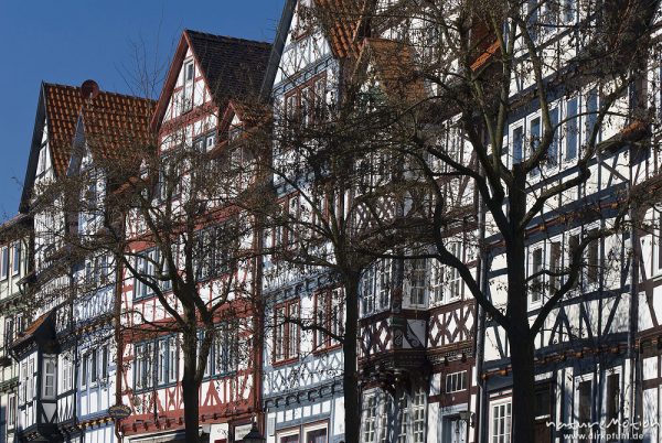 Fachwerkhäuser, Hausfassaden mit bunt bemaltem Fachwerk, davor noch unbelaubte Bäume, Innenstadt von, Bad Sooden-Allendorf, Deutschland