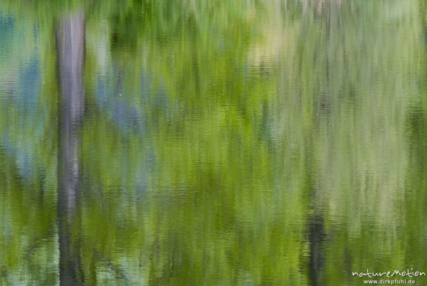 Spiegelungen von Bäumen und Schilf auf Wasseroberfläche, Fischteich, Wanfried, Deutschland