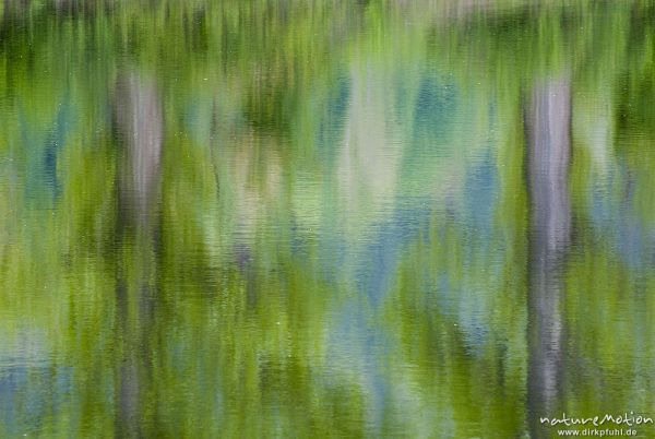 Spiegelungen von Bäumen und Schilf auf Wasseroberfläche, Fischteich, Wanfried, Deutschland