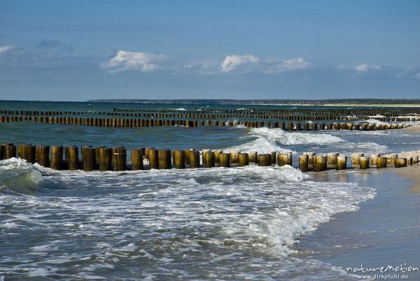 Bunen am Strand von Ahrenshoop, Wellengang, Darß, Zingst, Deutschland