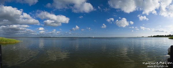 Bodden am Hafen von Born, blauer Himmel mit Cumulus Wolken, Darß, Zingst, Deutschland