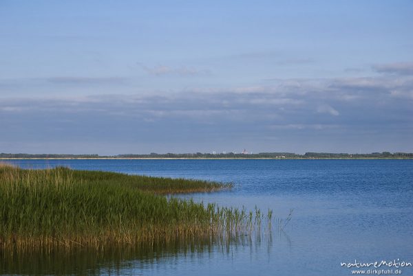 Bodden mit Schilf, Wolken, Abendlicht, im Hintergrund Kirchturm von Barth, Hafen von Wiek, Darß, Zingst, Deutschland