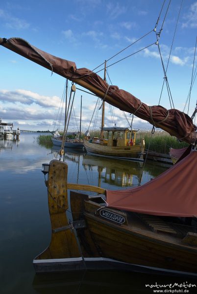 Zeesenboote, Segelboote im Hafen von Wiek, Darß, Zingst, Deutschland