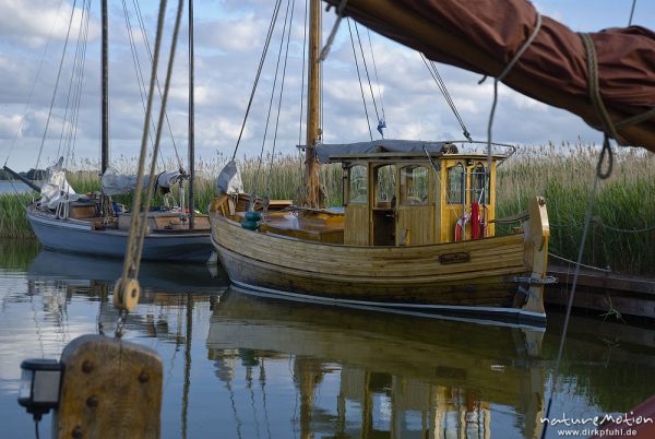 Zeesenboote, Segelboote im Hafen von Wiek, Darß, Zingst, Deutschland