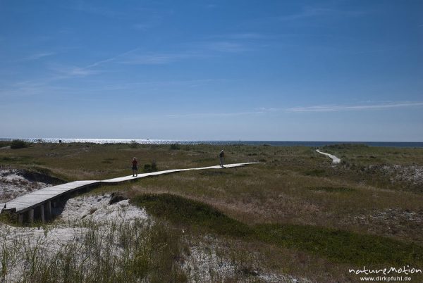 Wanderweg durch Naturschutzgebiet Darsser Ort, Graudünen, Darß, Zingst, Deutschland