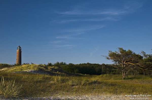 Leuchtturm Darsser Ort inmitten von Dünenlandschaft, Wolken, Abendlicht, Darß, Zingst, Deutschland