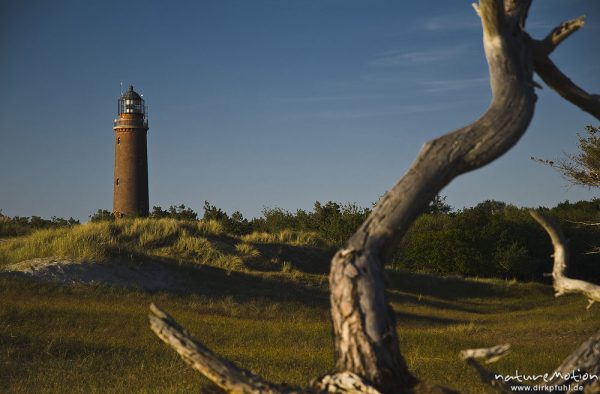 Leuchtturm Darsser Ort inmitten von Dünenlandschaft, Wolken, Abendlicht, Darß, Zingst, Deutschland