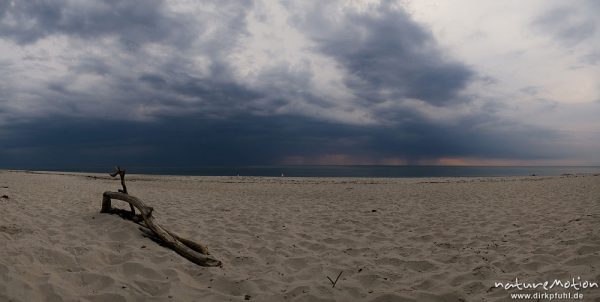 aufziehende Regenfront am Darsser Weststrand, Darß, Zingst, Deutschland