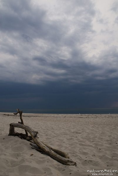 aufziehende Regenfront am Darsser Weststrand, Darß, Zingst, Deutschland