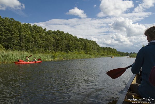 Paddeln im Müritz-Nationalpark, Paddelboote auf dem Granzower Möschen, Granzow, Deutschland