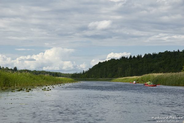 Paddeln im Müritz-Nationalpark, Paddelboote auf dem Granzower Möschen, Granzow, Deutschland