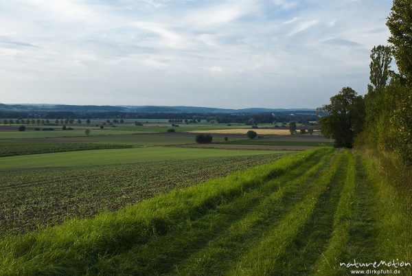 Feldweg, Leinetal südlich von Göttingen, Göttingen, Deutschland