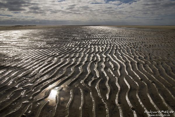 Sandrippel, Lichtreflexe und Wolken, Strand von Amrum, Amrum, Deutschland
