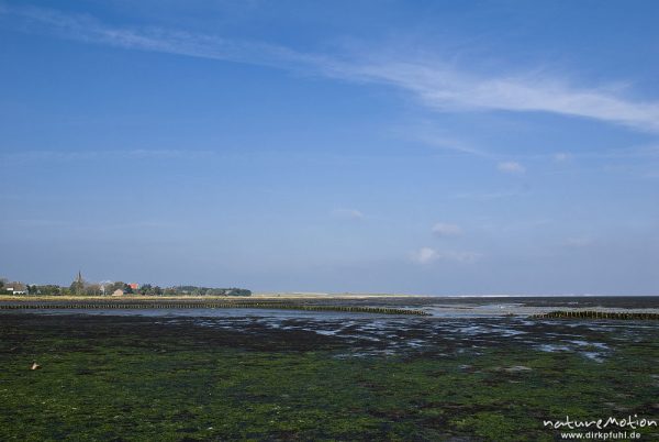 Watt bei Ebbe, Bunen, Häuser und Kirchturm von Nebel, Amrum, Deutschland