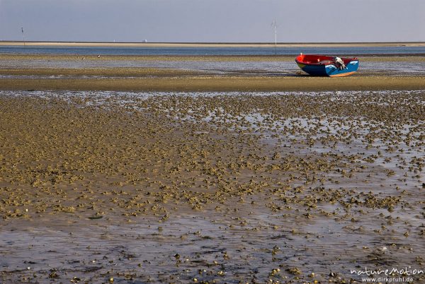 Boot auf Sandbank, Watt bei Ebbe, Hafen von Steenodde, Amrum, Deutschland